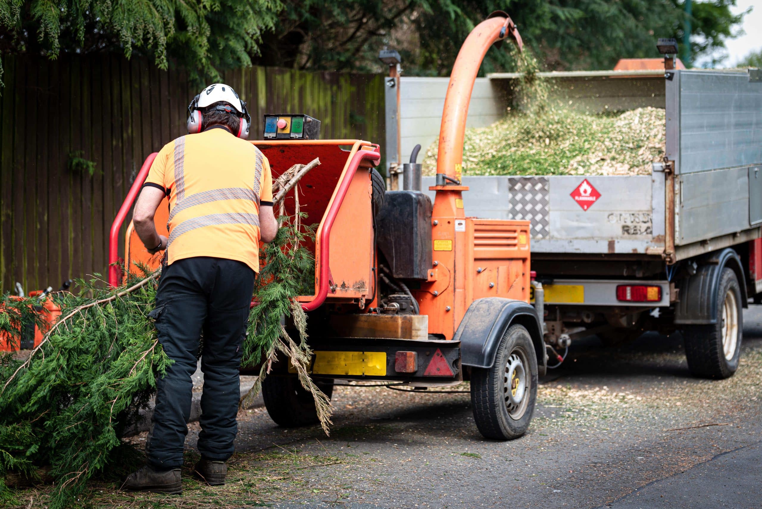 Tree Stump Grinding/Removal East Dulwich SE22